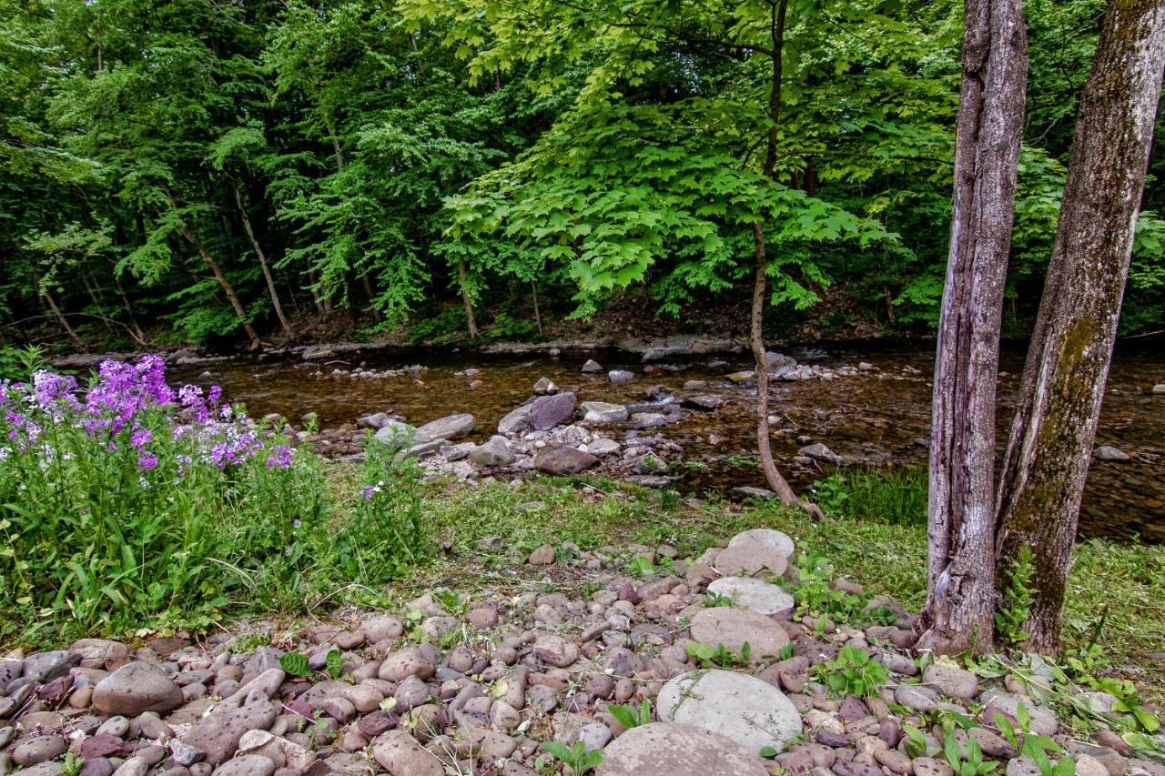 Cabin By The Creek With Private Creek Access Tannersville Buitenkant foto